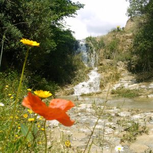 Cascada de La Presa de Nueva España.