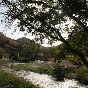 Río Pesquera en Verano en la Ruta de los Ríos y sus Hábitats.