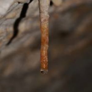 Esto es una estalactita y crece desde el techo de la cueva hacia abajo.